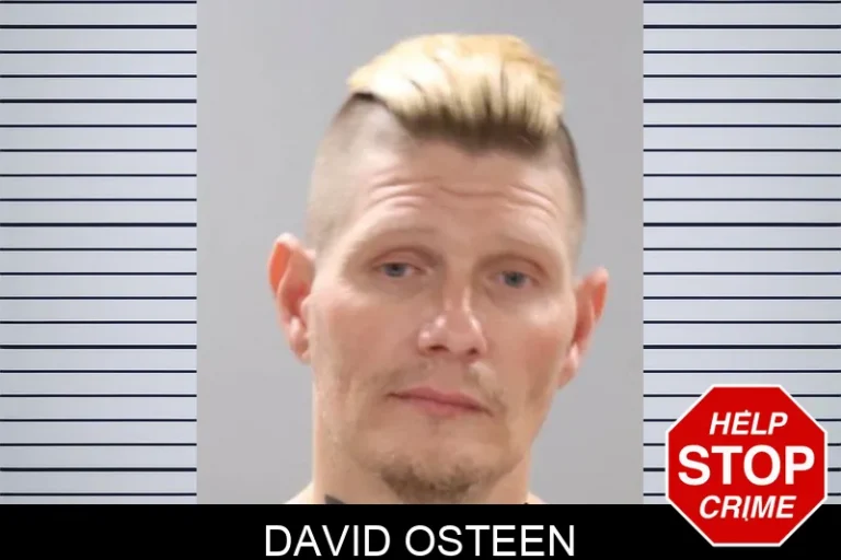 David Osteen