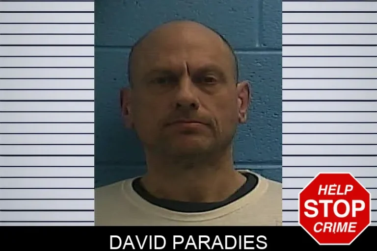 David Paradies