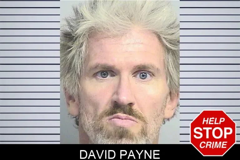 David Payne