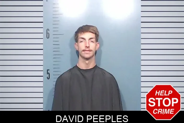 David Peeples