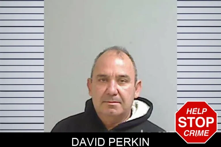 David Perkin