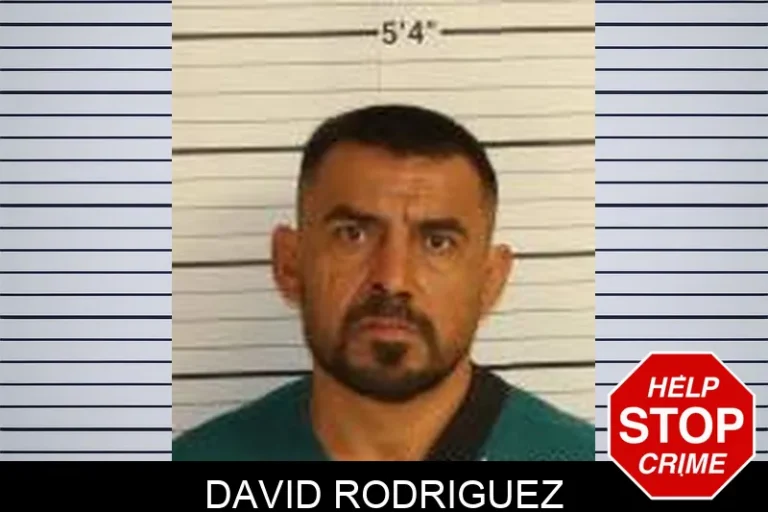 David RodriguEz