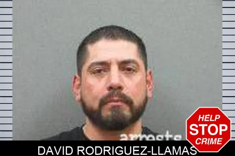 David Rodriguez-Llamas