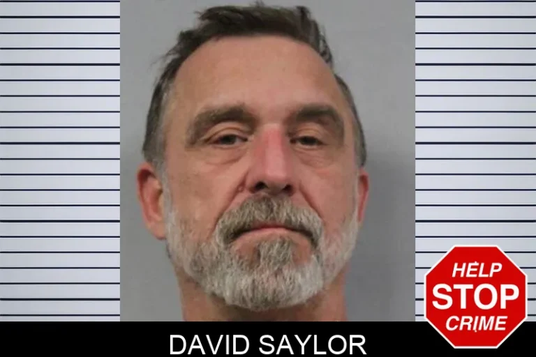 David Saylor
