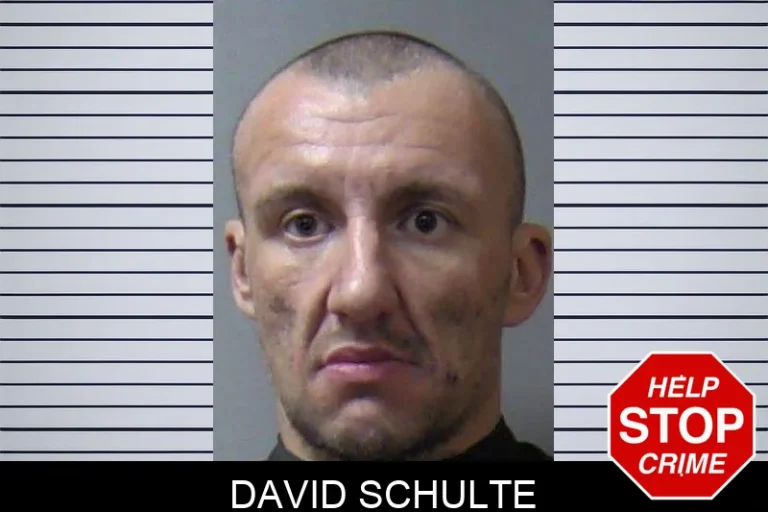 David SchuLte