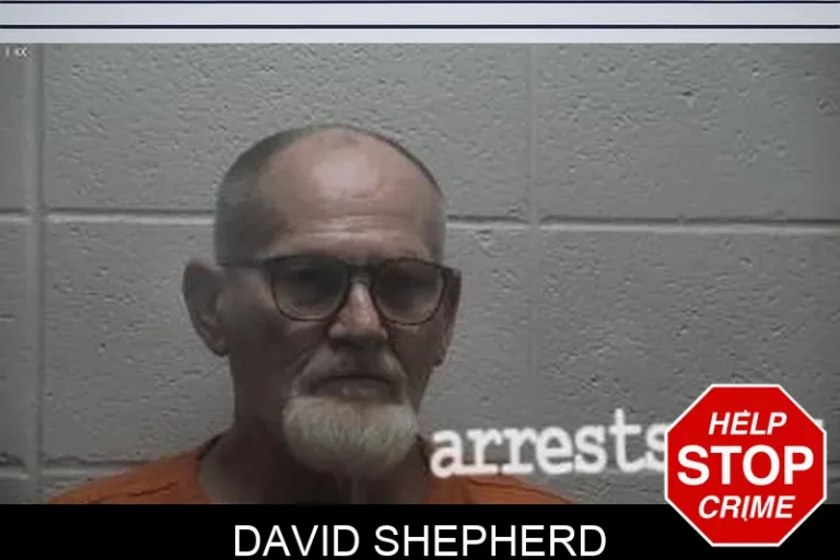 David Shepherd