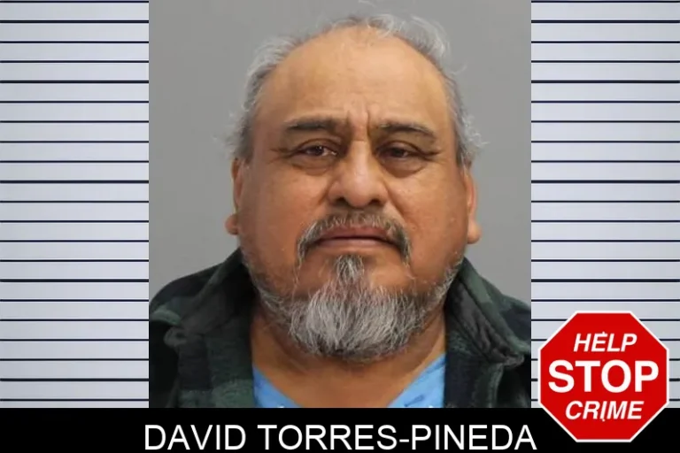David Torres-Pineda