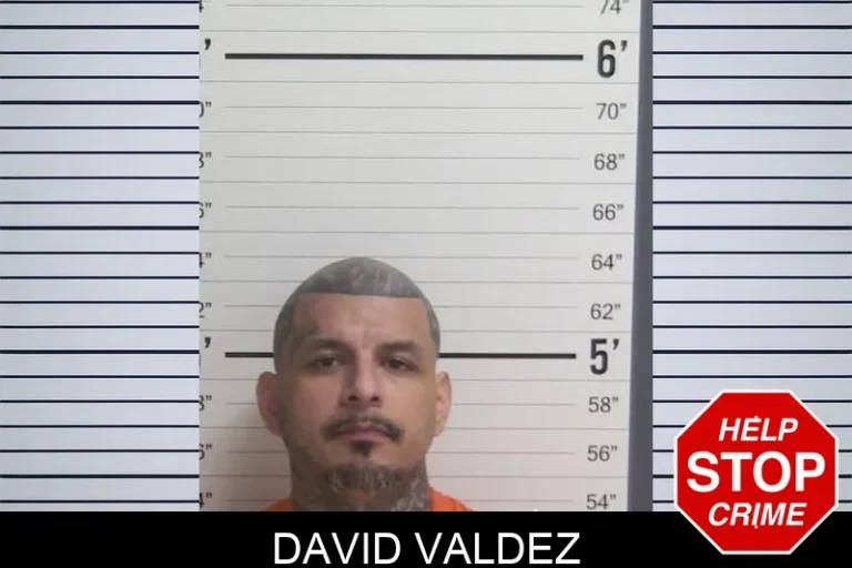 David Valdez