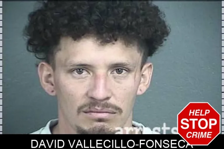 David Vallecillo-Fonseca