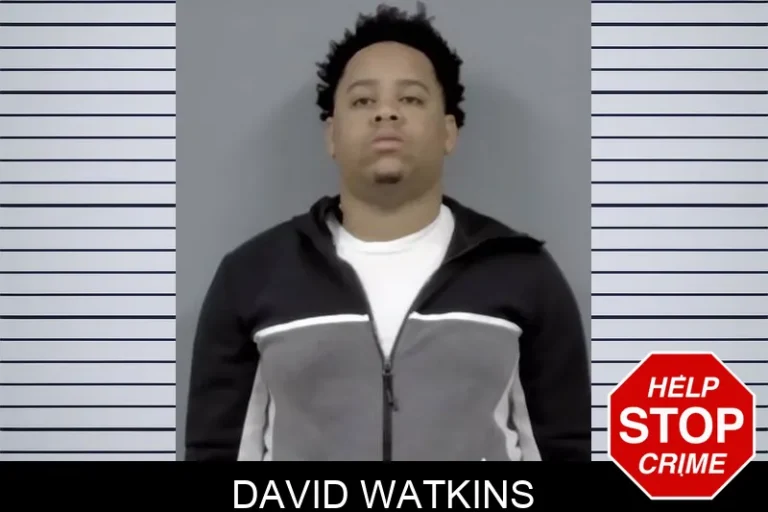 David Watkins