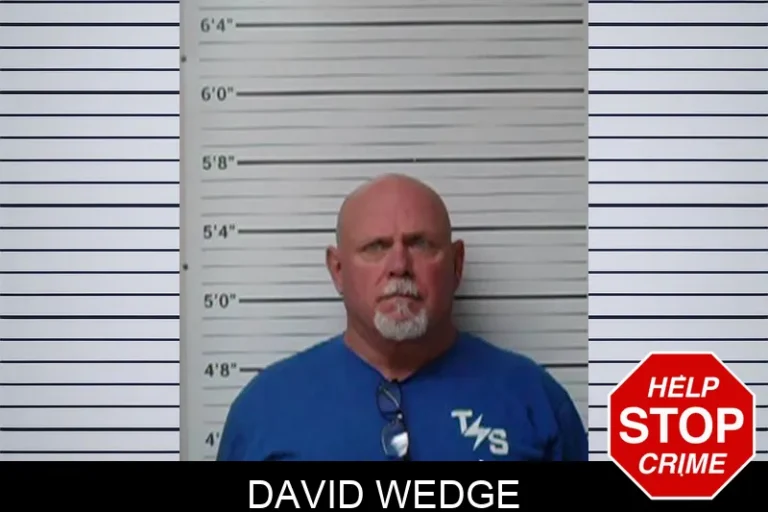David Wedge