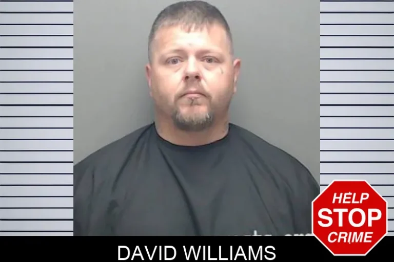 David Williams