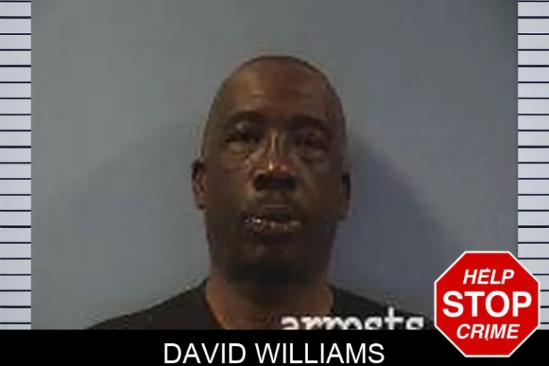 David Williams