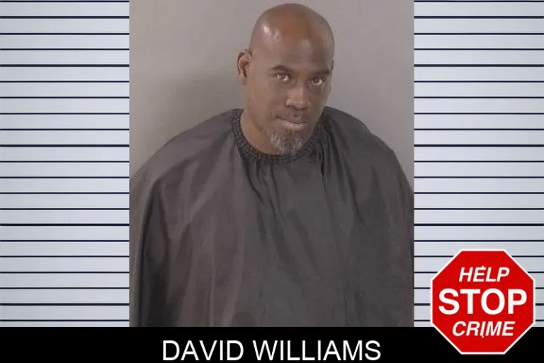 David Williams