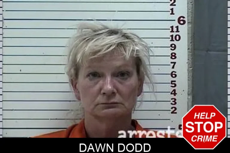 Dawn Dodd