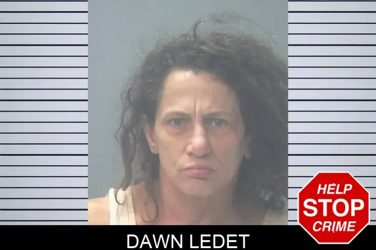 Dawn Ledet