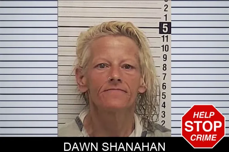 Dawn Shanahan