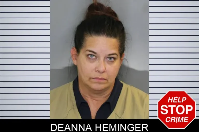 Deanna Heminger