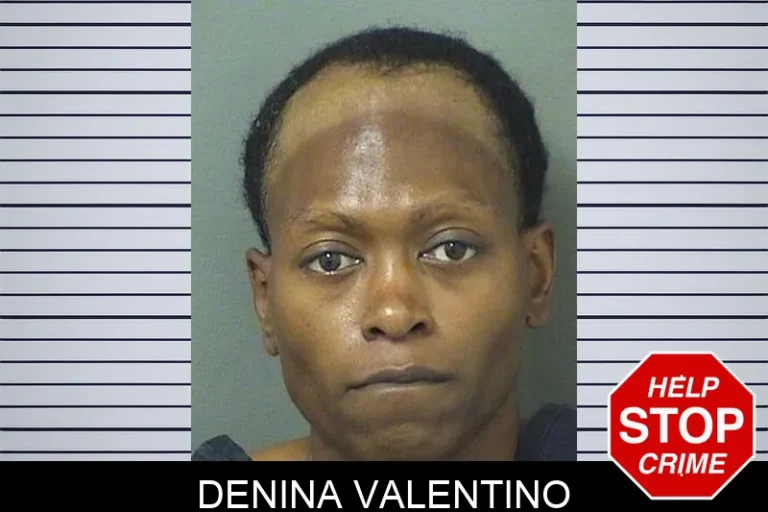 Denina Valentino