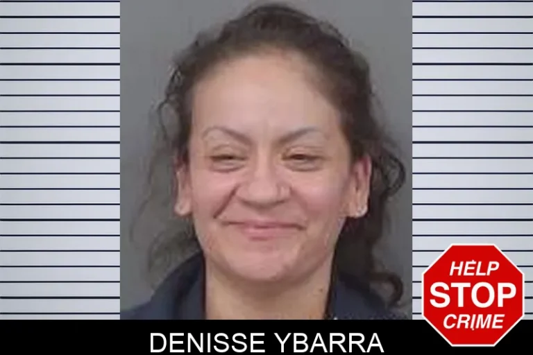 Denisse Ybarra