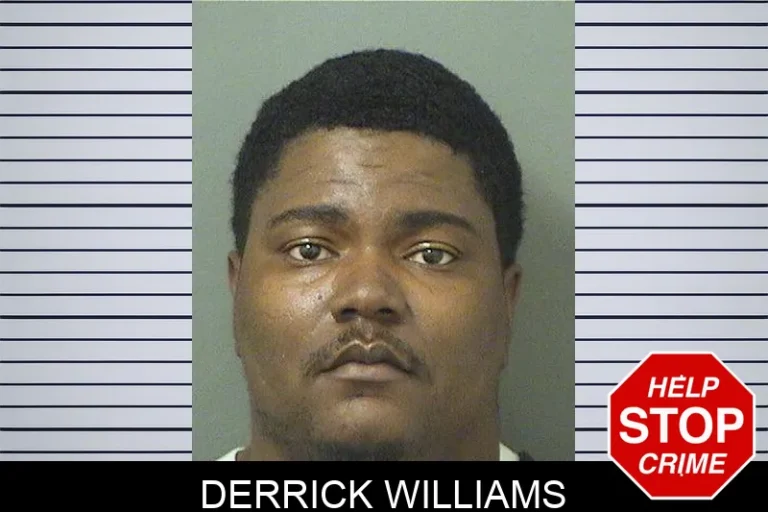 Derrick Williams