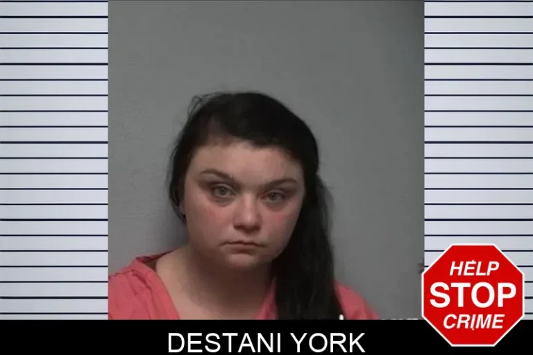 Destani York