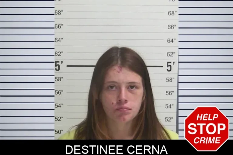 Destinee Cerna