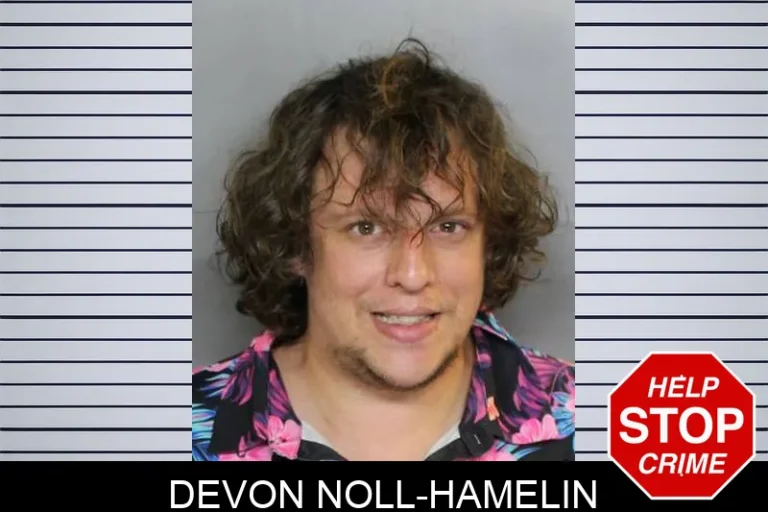 Devon Noll-Hamelin