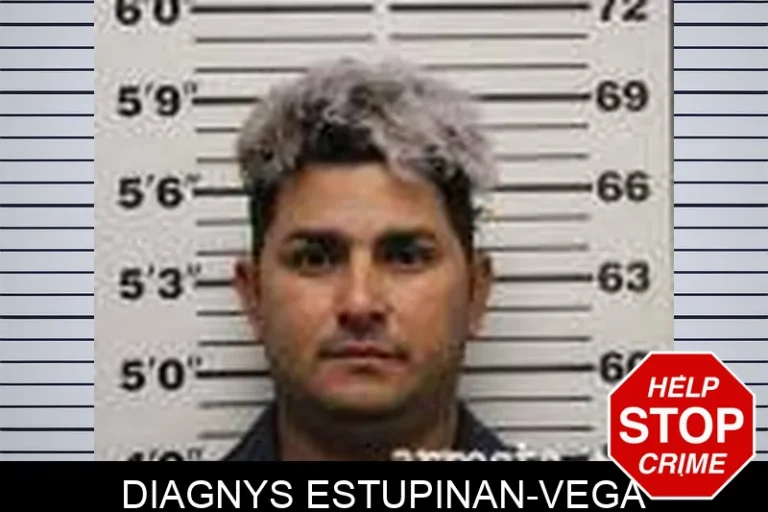 Diagnys EstuPinan-Vega