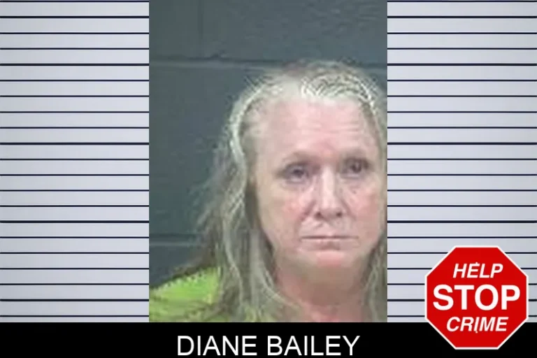 Diane Bailey