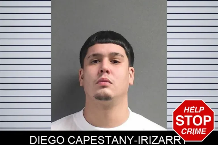 Diego Capestany-Irizarry