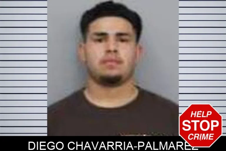 Diego Chavarria-Palmarez