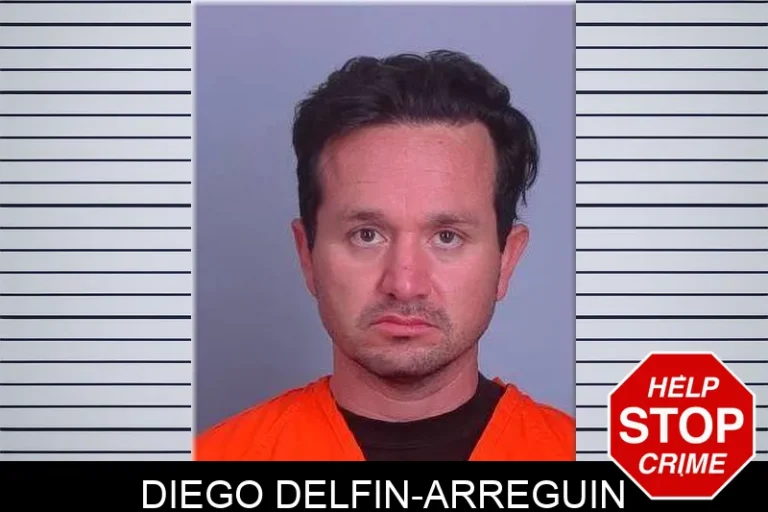 Diego Delfin-ArreguIn