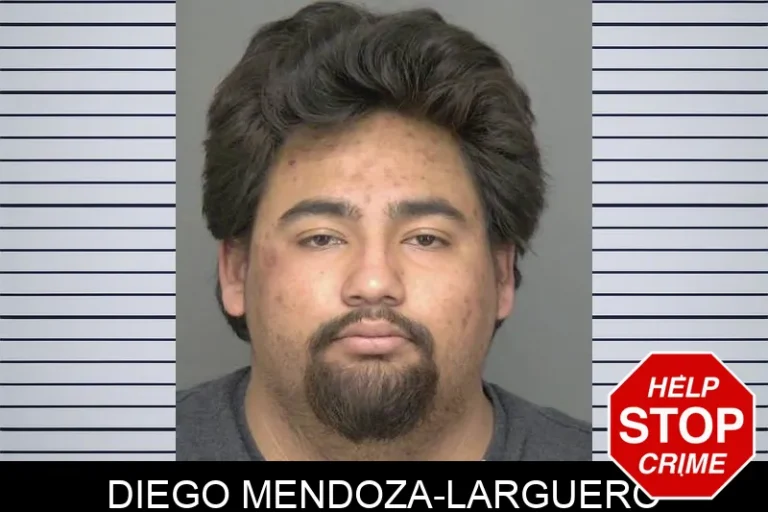 Diego Mendoza-LarguEro