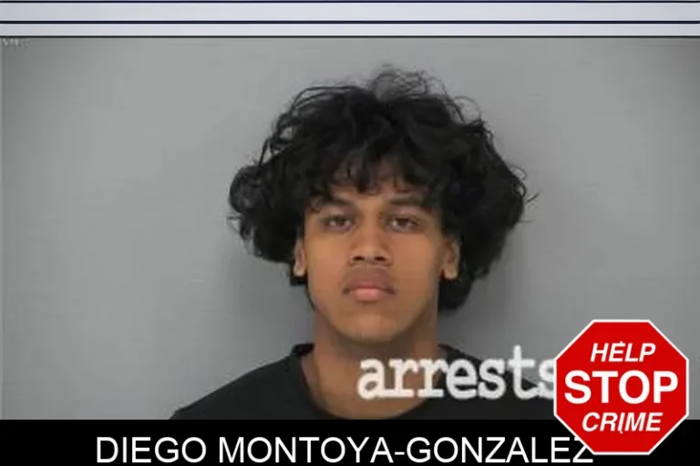 Diego Montoya-Gonzalez-