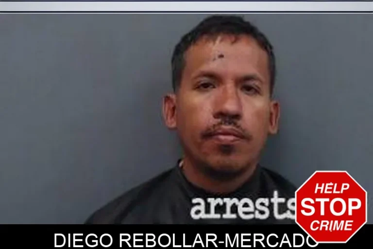 Diego Rebollar-Mercado