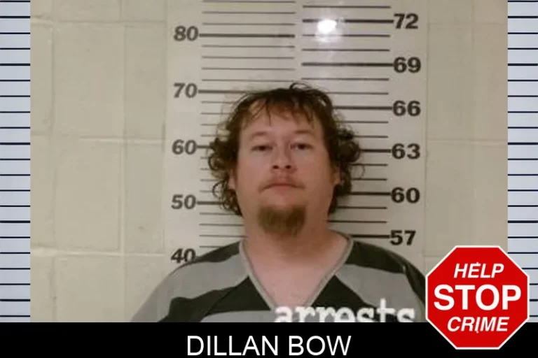 Dillan Bow