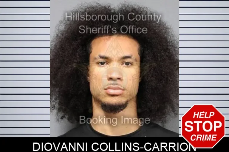 Diovanni Collins-Carrion