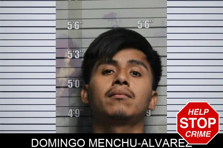 Domingo Menchu-Alvarez