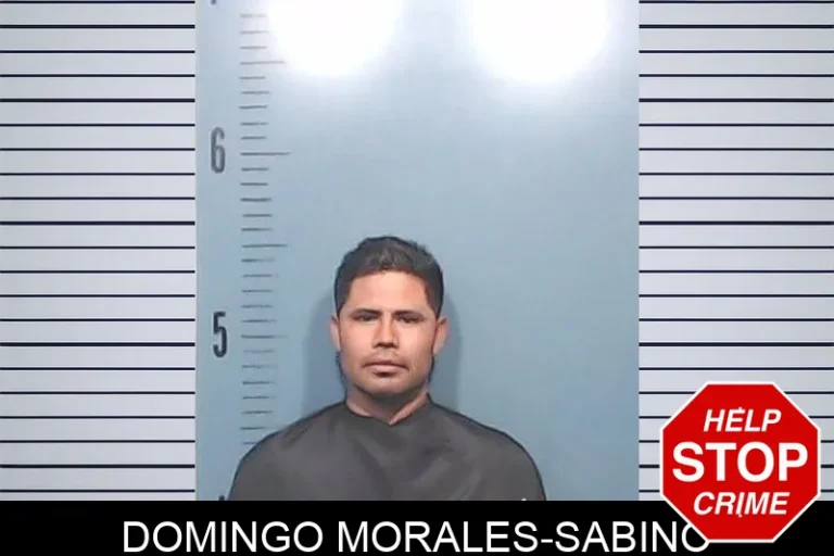 Domingo Morales-Sabino
