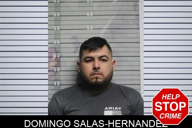 Domingo Salas-Hernandez