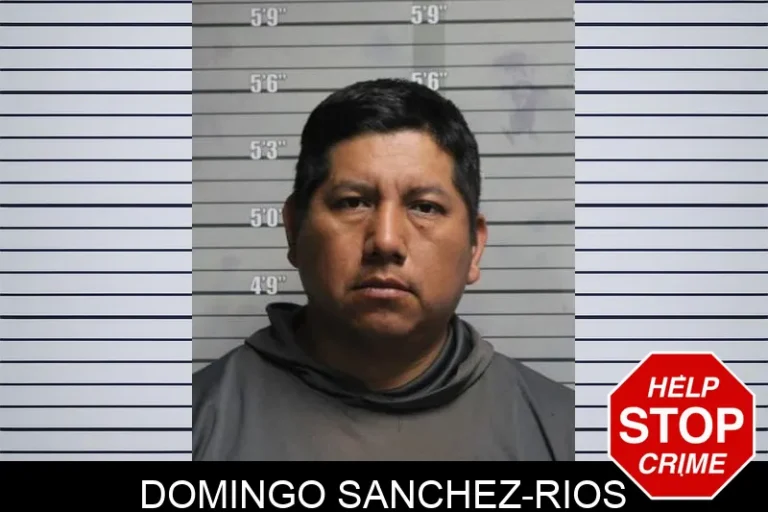 Domingo Sanchez-Rios