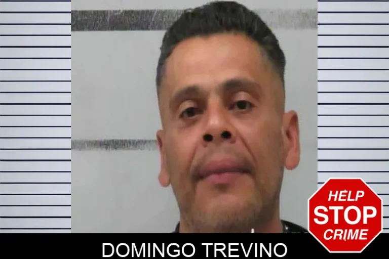 Domingo Trevino