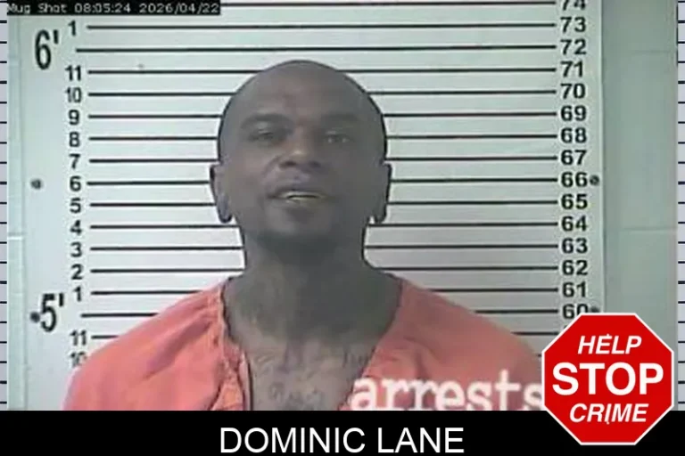 Dominic Lane