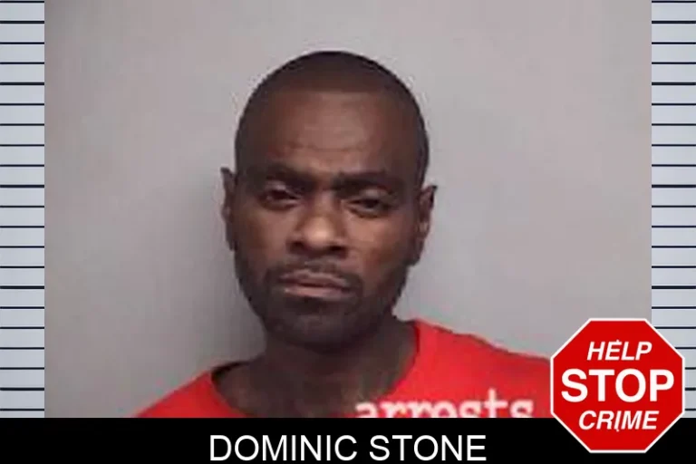 Dominic Stone