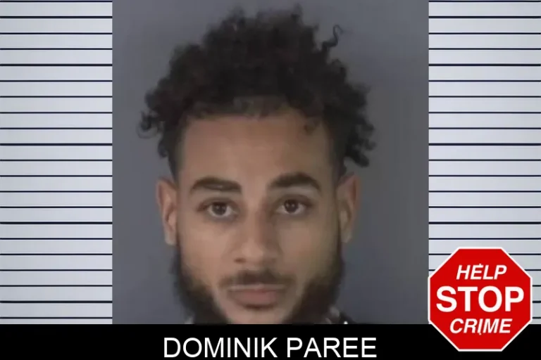 Dominik Paree