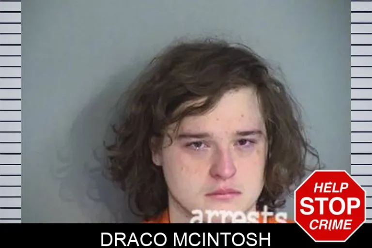 Draco McIntosh