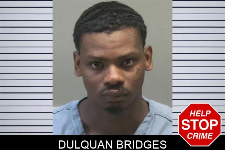 DuLquAn Bridges
