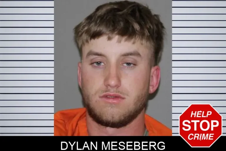 Dylan Meseberg