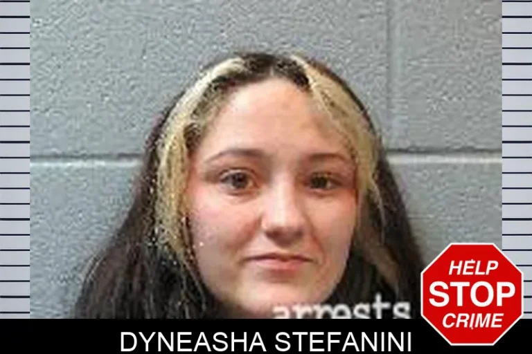 Dyneasha Stefanini